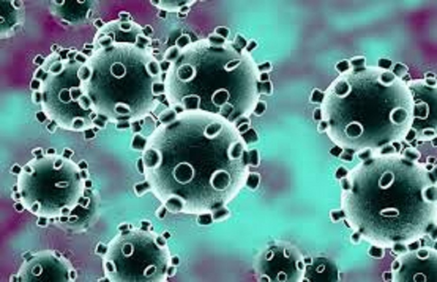 Maharashtra Hinidi News : मुंबई और पुणे के छह मरीजों में वायरस के संक्रमण की आशंका से हिला प्रशासन, बचाव व सतर्कता पर जोर