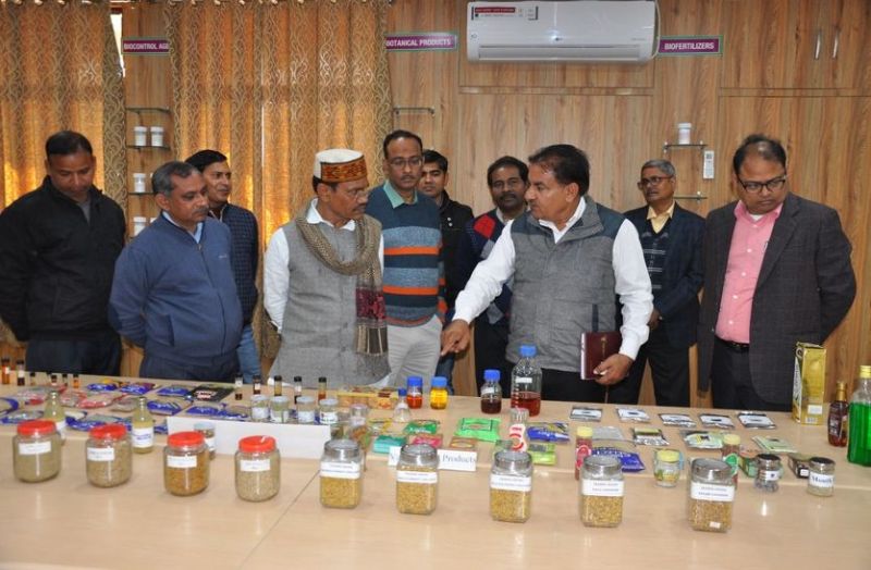 NRCSS : किसानों की आय बढ़ाने में कारगर साबित होगी मसालों की खेती