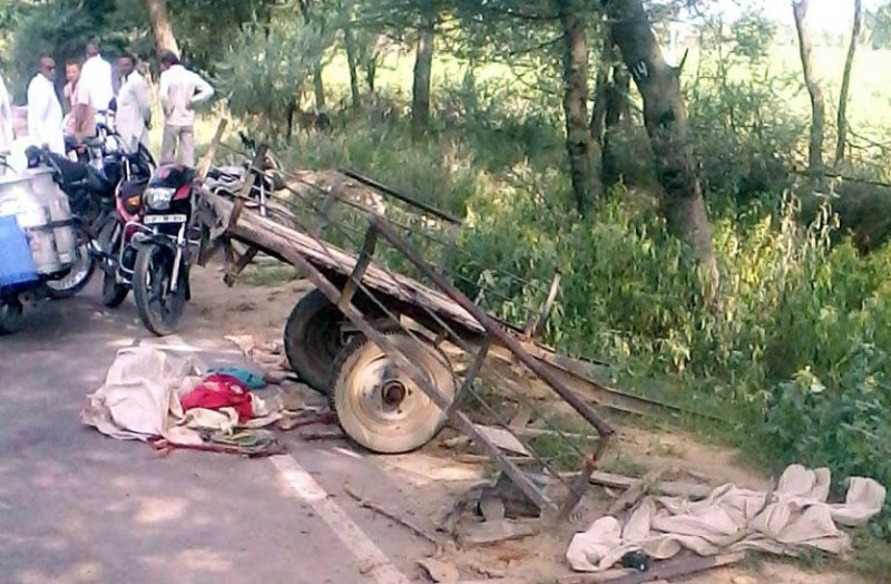 One Injured In Bullock Cart Accident : Bailgadi Accident