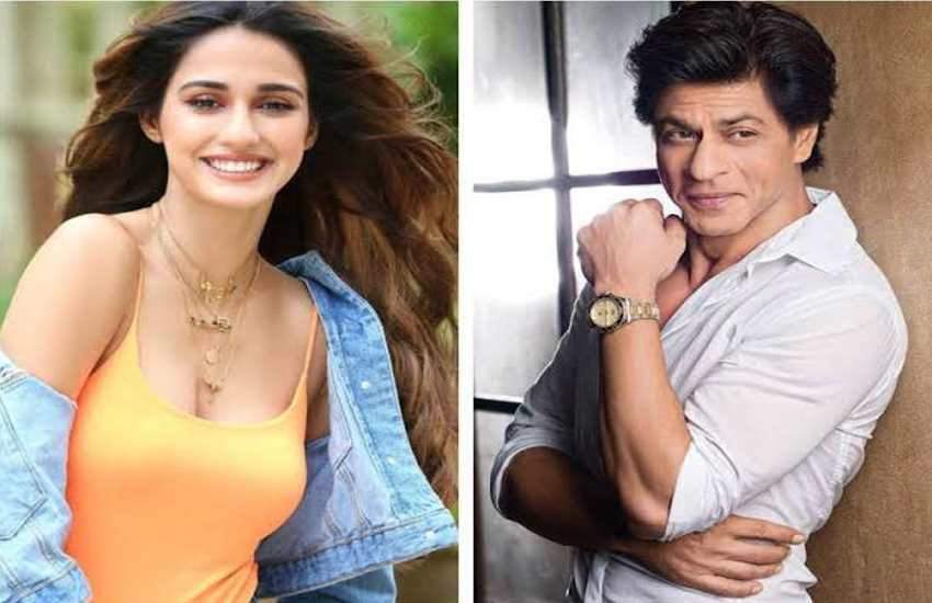disha patani shah rukh khan