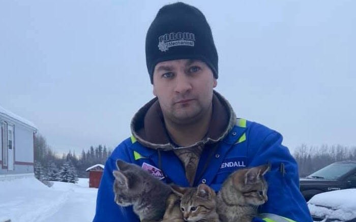 Man rescues frozen kittens by pouring hot coffee