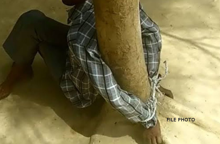 बांसवाड़ा : विवाहिता से मिलने पहुंचे युवक को ग्रामीणों ने पेड़ से बांधा, फिर धुनाई