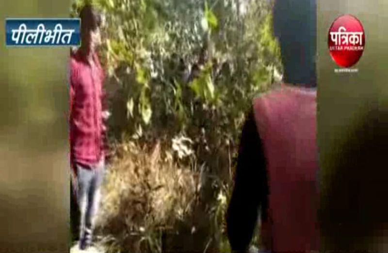 टाइगर रिजर्व में वृद्ध का शव मिलने से सनसनी