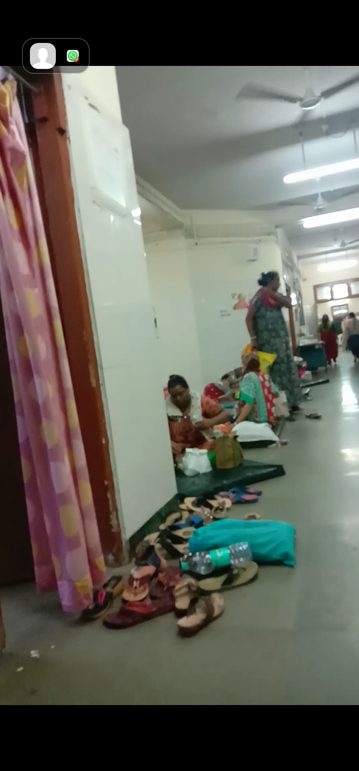 hospital बिल्लियों से बच्चे की जान को खतरा, रात भर पहरा दे रहीं नवप्रसूता
