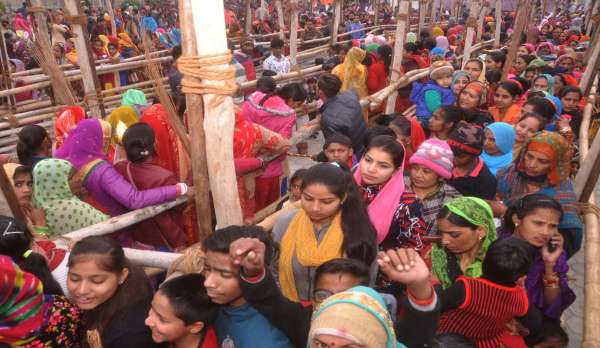 श्रीगंगानगर.लोक देवता बाबा रामदेव मंदिर में माघ सुदी पर भरा मेला, रामसा पीर के जयकारों से माहौल भक्तिमय........देखें खास तस्वीरें