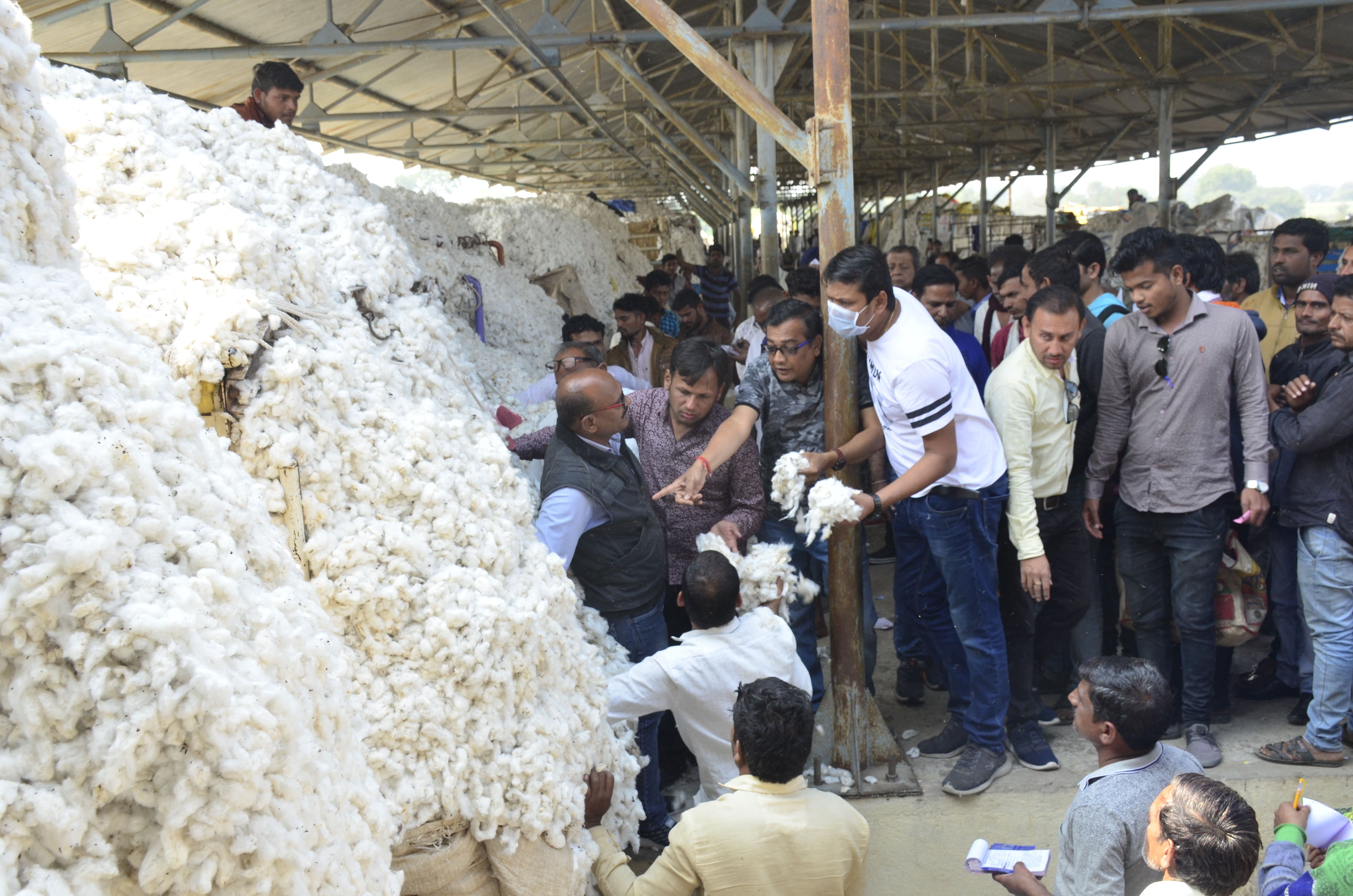 बुरहानपुर मंडी में मिल रहा कम भाव, 70 किमी दूर खंडवा कपास ला रहे किसान