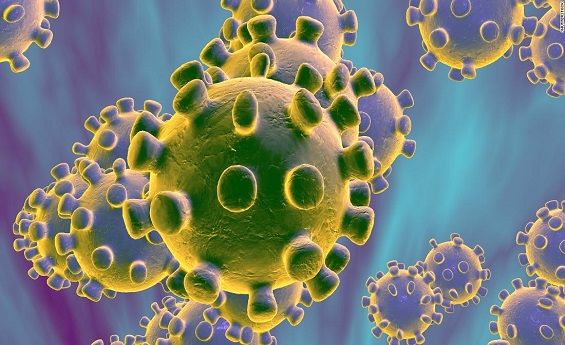 Coronavirus In rajasthan sms health news