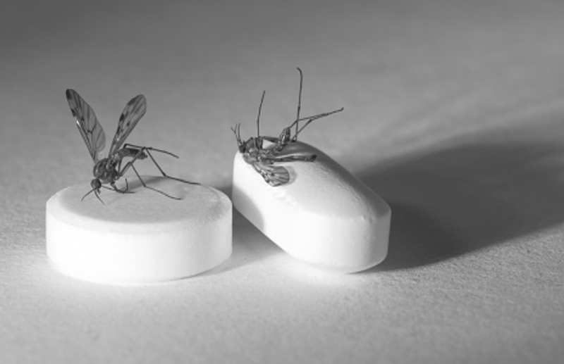 Scientists Found EphA2 protein in the fight against Cerebral Malaria