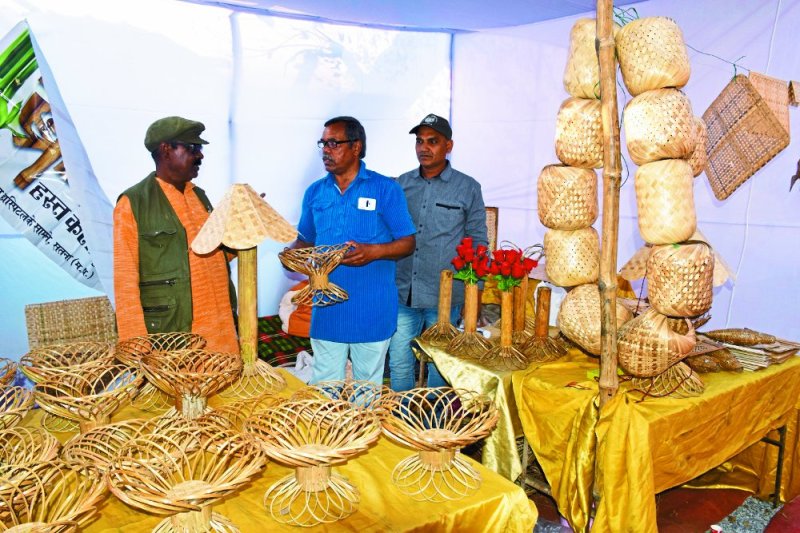 Satna Handicraft exhibition: Santosh Kumar Bansal success story hindi