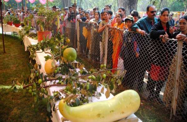 PHOTO GALLERY :  खिलखिलाते फूलों की खूसबसूरती को देख लोगों के भी चेहरे खिले