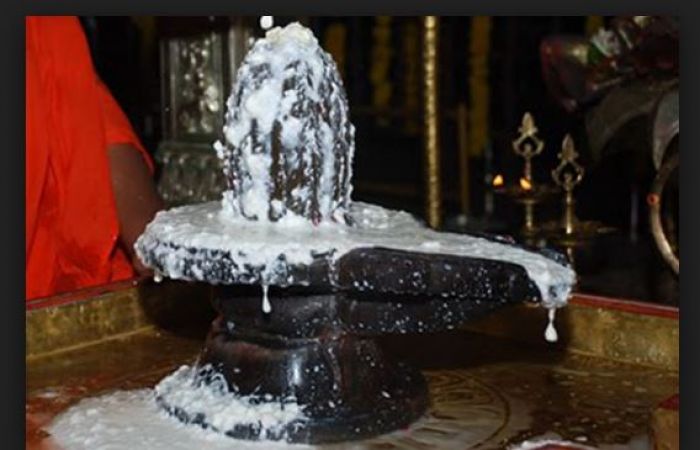 महाशिवरात्रि के दिन अपनी इच्छानुसार करें शिव जी का अभिषेक, धन में होगी वृद्धि