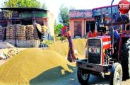 मूंग घोटाला : कृषि मंडी पहुंची पुलिस, माल का किया भौतिक सत्यापन, आरोपी भूमिगत