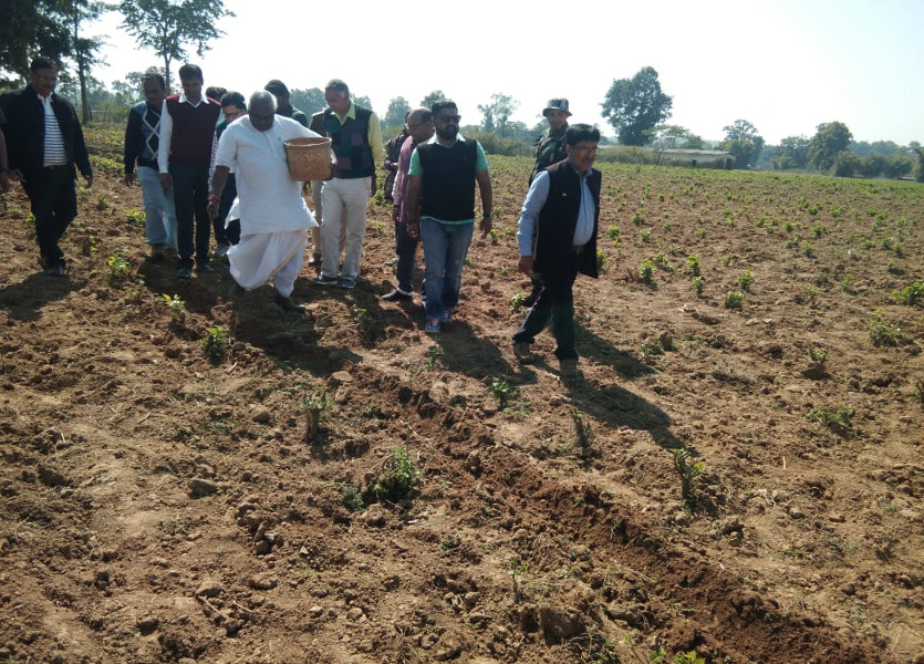 खेत में काम कर रहे ये लोग कोई और नहीं बल्कि विधायक, कलक्टर और सीईओ हैं