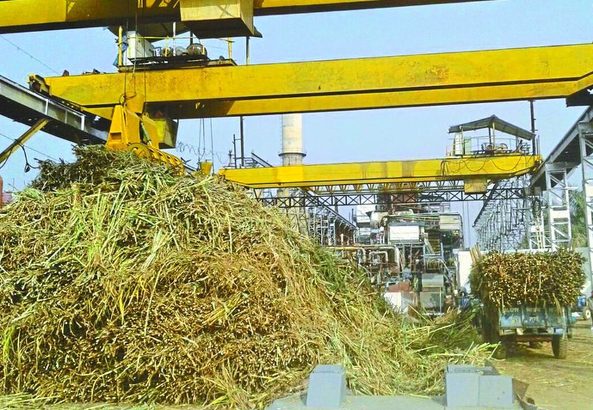 Sugar mill, minister in charge, collector, team, report, officer, environment, chemical