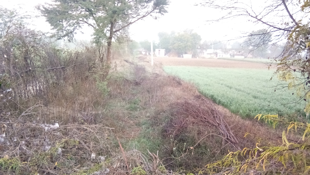 यहां नहरी पानी के इंतजार में पथरा गई आंखें...