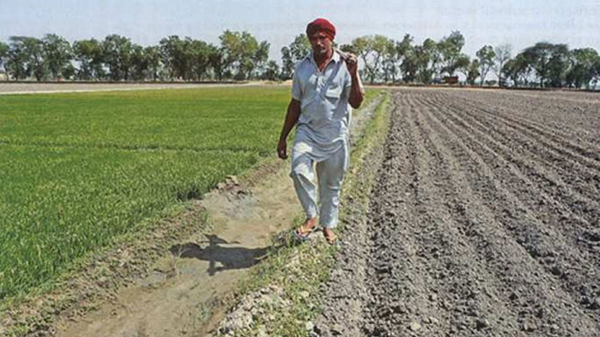 Farmers Loan : किसानों को चार हजार करोड़ का फसली ऋण : आंजना