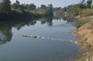 rewa