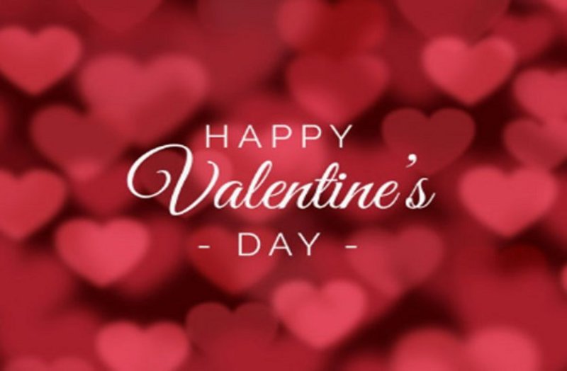 मलेशिया के एक फोटो ने बदली हमारी जिंदगी, सैकड़ों वेबसाइट्स से मिली देश-दुनिया में पहचान