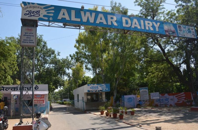 अब अलवर खरीदेगा प्रदेश में सबसे ज्यादा भाव पर दूध
