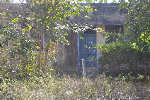 कंडम सरकारी आवासों में रह रहे कर्मचारी