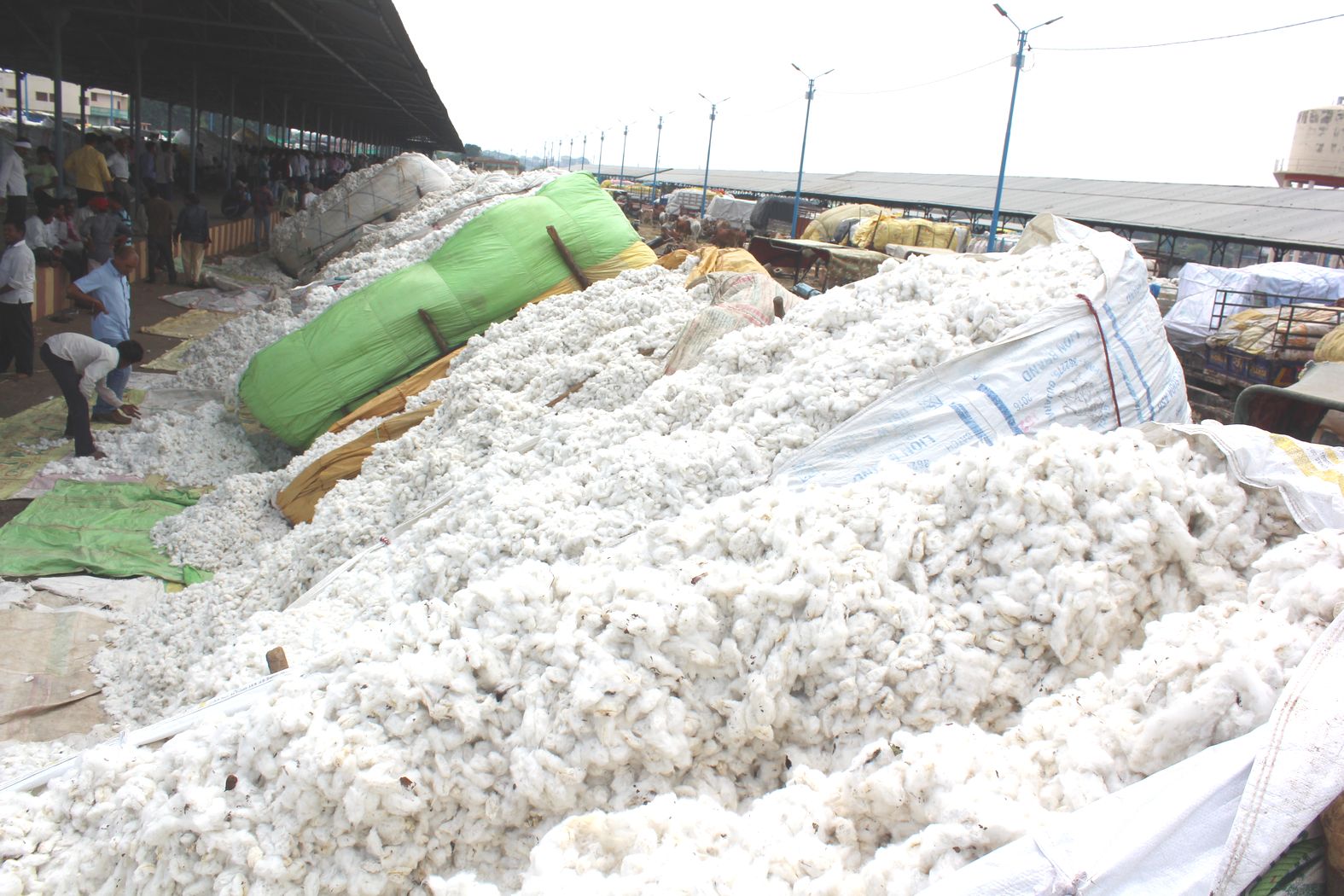 Khargone is the largest district with cotton production