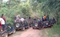 Bandhavgarh: Bagheera will now monitor tiger stronghold