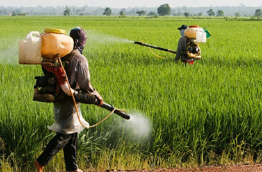 Chemicals : रसायनों के खतरे से खेतों को बचा रहे