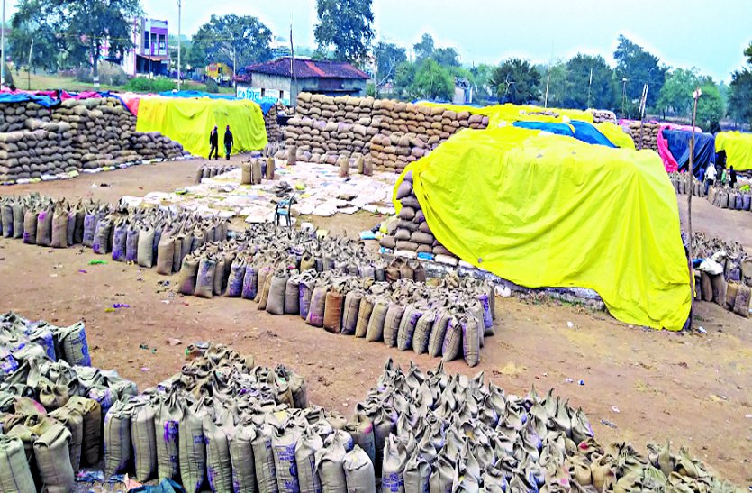 Record over 1 billion paddy purchased in the block, paddy jammed in centers