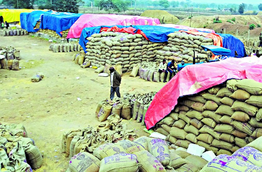 Hundreds of farmers did not reach paddy purchase center even after token issue