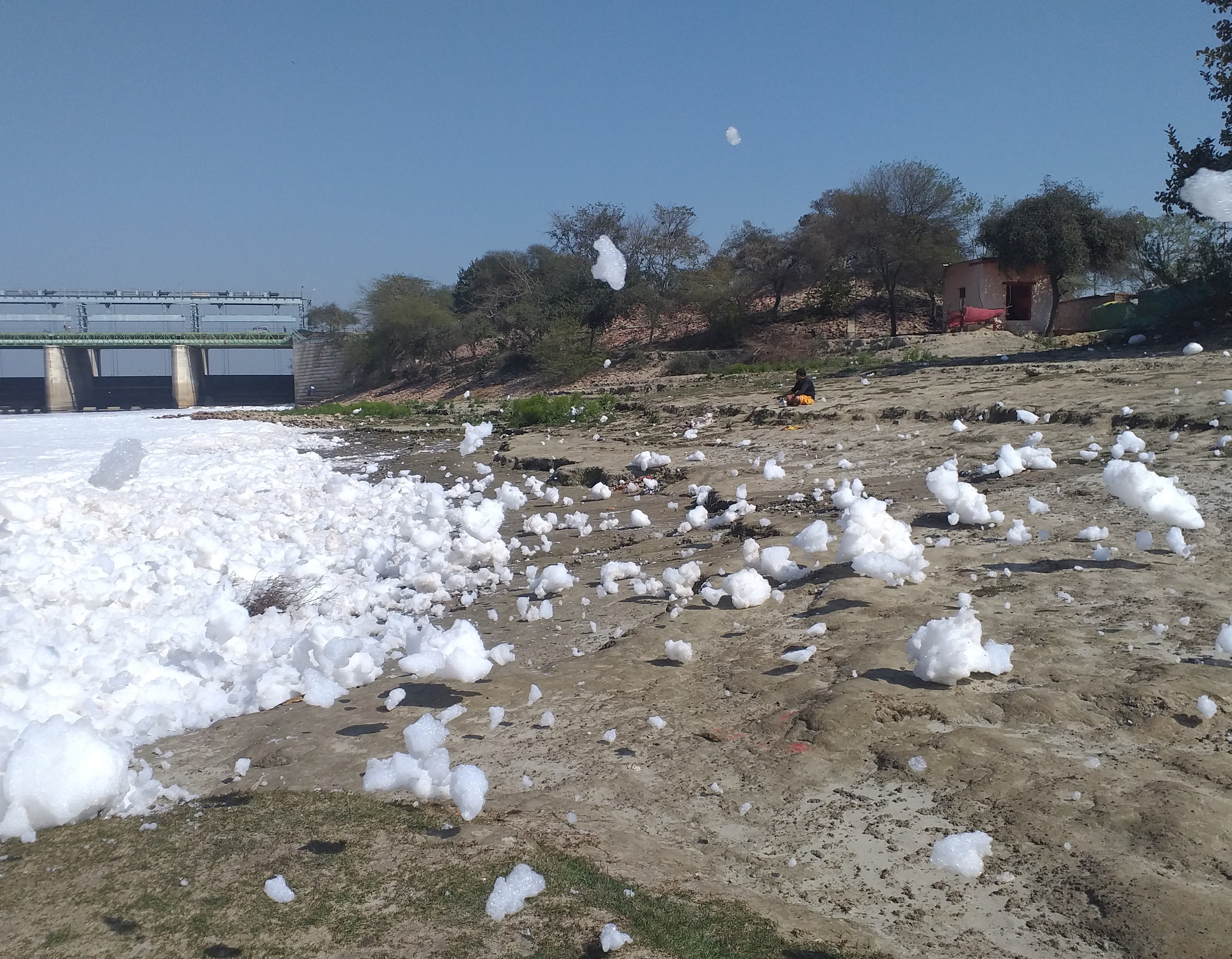 Yamuna