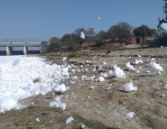 Yamuna
