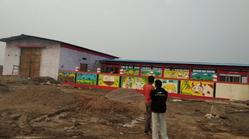 उधारी के चारे से पल रहे पशु, गौशाला समिति के सामने आर्थिक संकट