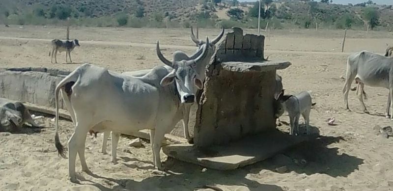 Drinking water crisis in Kaprau before summer