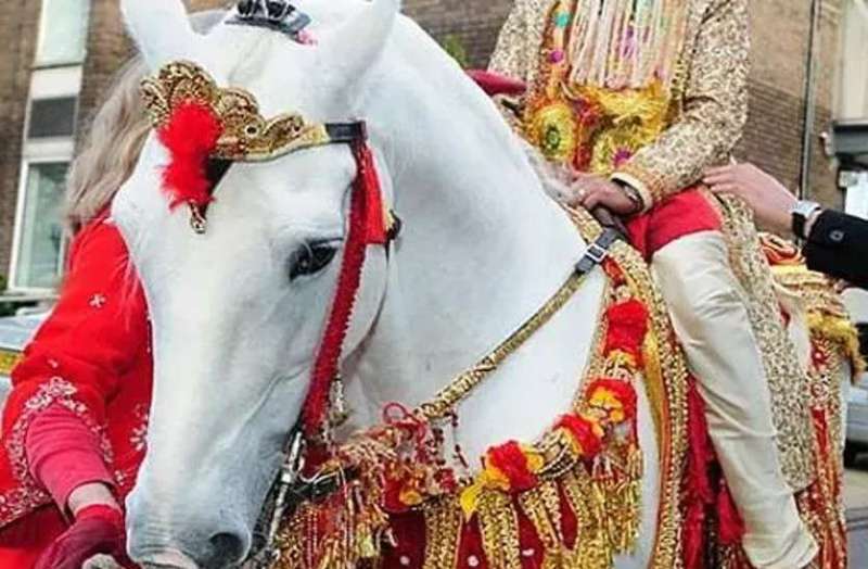 शादी के बाद भागे दूल्हे को 16 दिन बाद पुलिस ने ढूंढ निकला