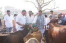 गर्मी से गायों को मिलेगी राहत, गोठान में बनें शेड का महापौर ने किया लोकार्पण