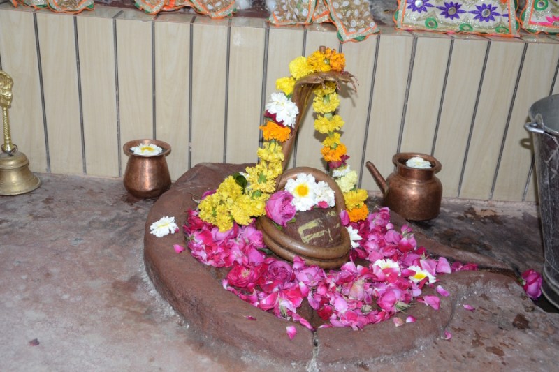 baidyanath temple in jodhpur will open on mahashivratri 2020