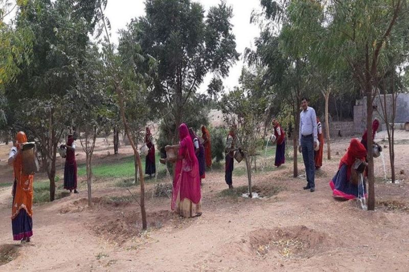 Garden developed by removing encroachment