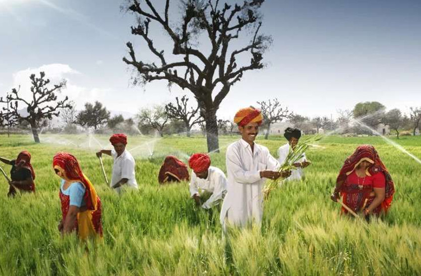 Rajasthan Budget 2020-21: मुख्यमंत्री अशोक गहलोत ने किसानों को लेकर की ये बड़ी घोषणाएं