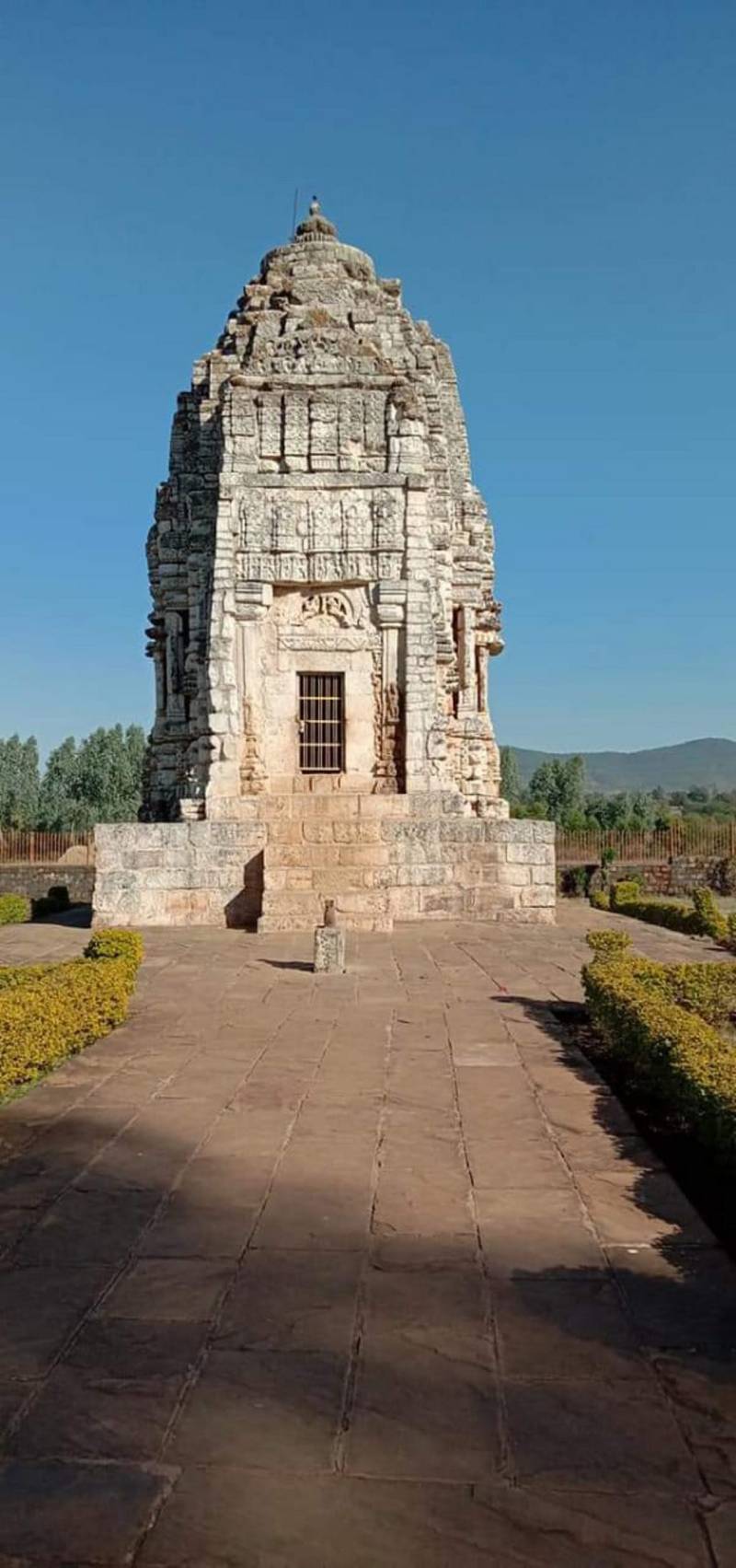 Assumption: Dog grinding causes less poison by grinding and grinding