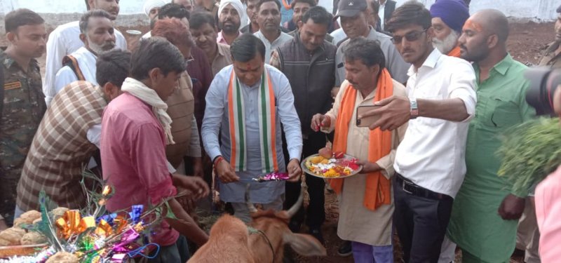 गोशाला में ऐसी गाय रखी जाएं, जिनका कोई धनी-धोरी नहीं