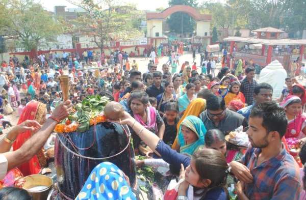 Photo Gallery : भूत-पिशाच संग निकली भोलेबाबा की बारात, रूद्राभिषेक के संग घ-घर गूंजा हर-हर महादेव