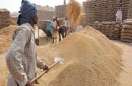 सरकार नहीं बढ़ाएगी धान खरीदी की समयसीमा, गुस्से में किसान