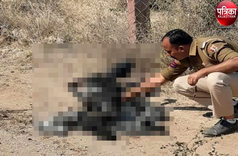 पाली : जंगल में मिला अधजला शव, हत्या की आशंका