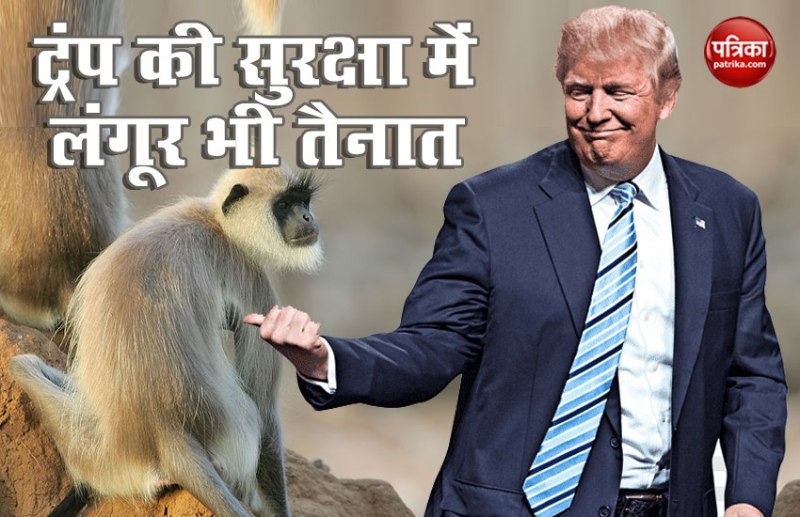 डोनाल्ड ट्रंप