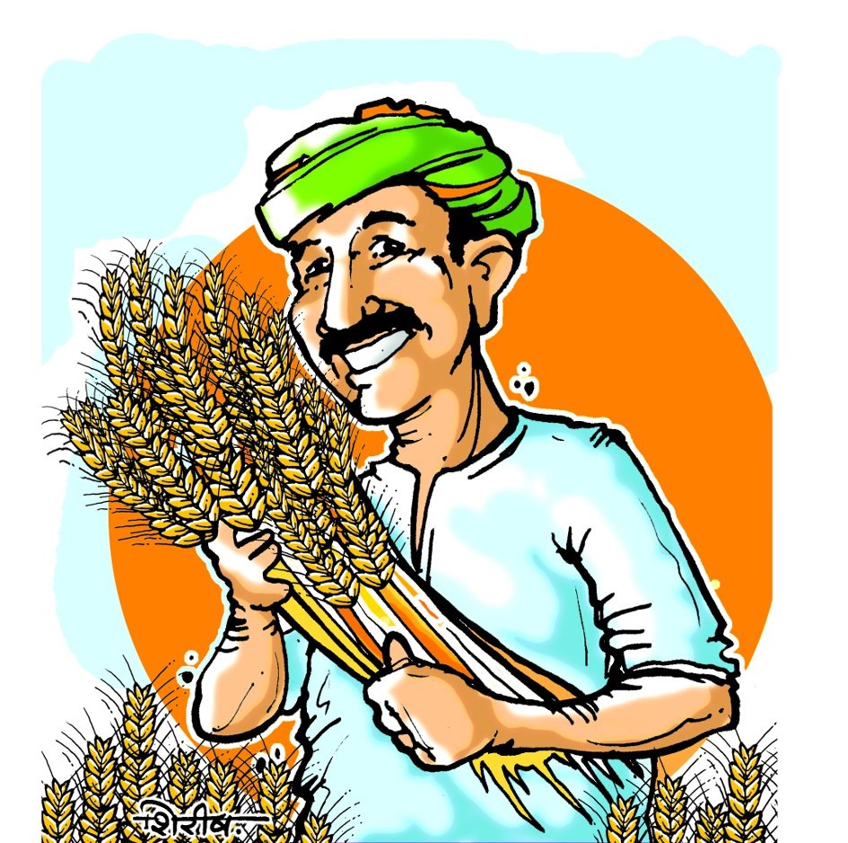 6910 farmers registered for selling wheat, gram, lentils and mustard