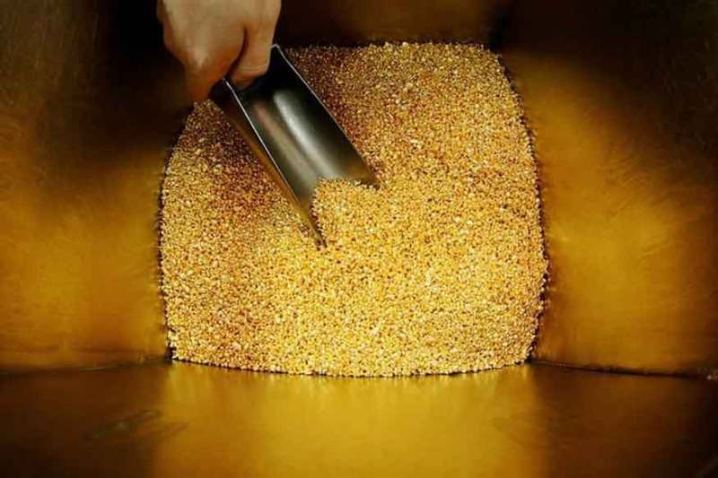 sonbhadra gold found.jpg