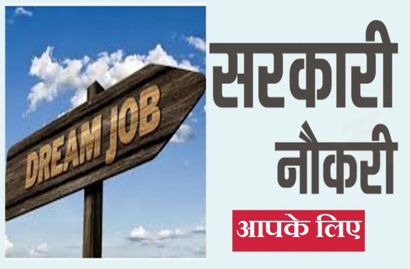sarkari naukri in so many sectors