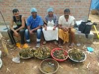 गाय के पेट से निकले सिक्के, कील, मैगी और कुरकुरे के पैकेट