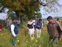 ओलावृष्टि के बाद खेतों में उतरा राजस्व अमला, किया निरीक्षण