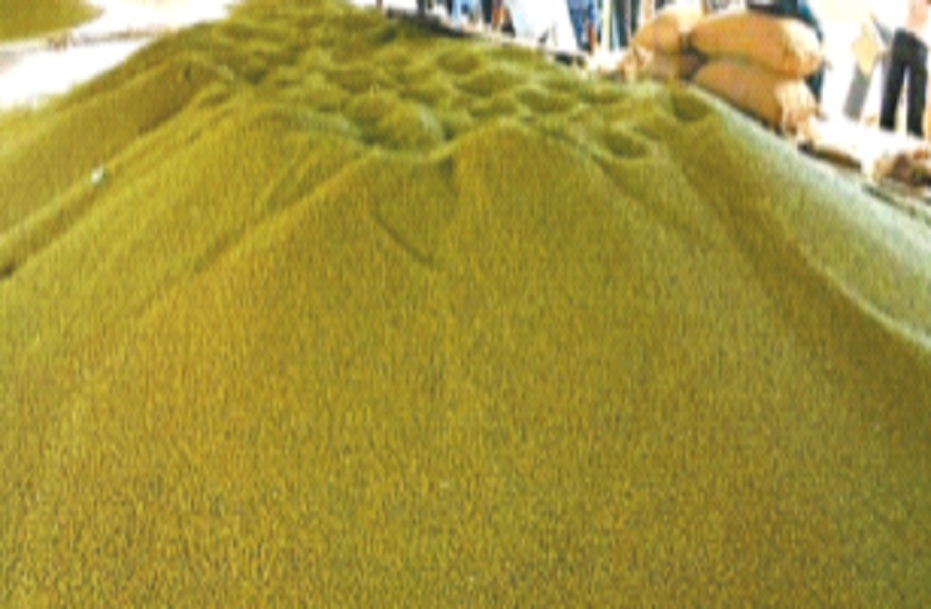  3600 sack moong disappeared from the yard, manager suspended